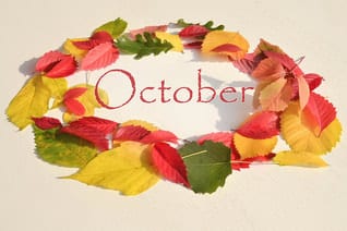 Friday 29th September