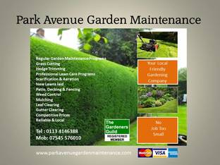 Park Avenue Garden Maintenance 