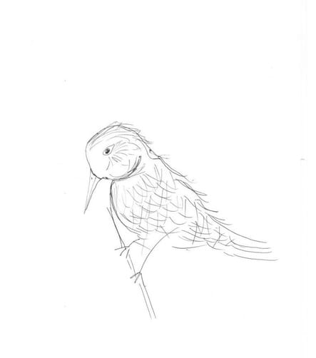Friday 8th April – National Draw a Picture Day!
